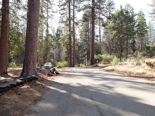 Charlton.Flats.USFS.159