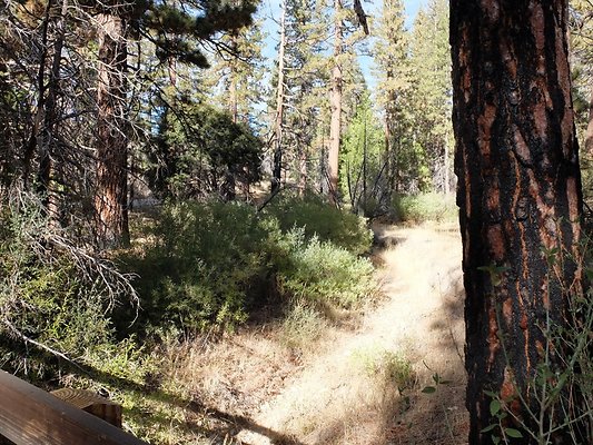 Charlton.Flats.USFS.136