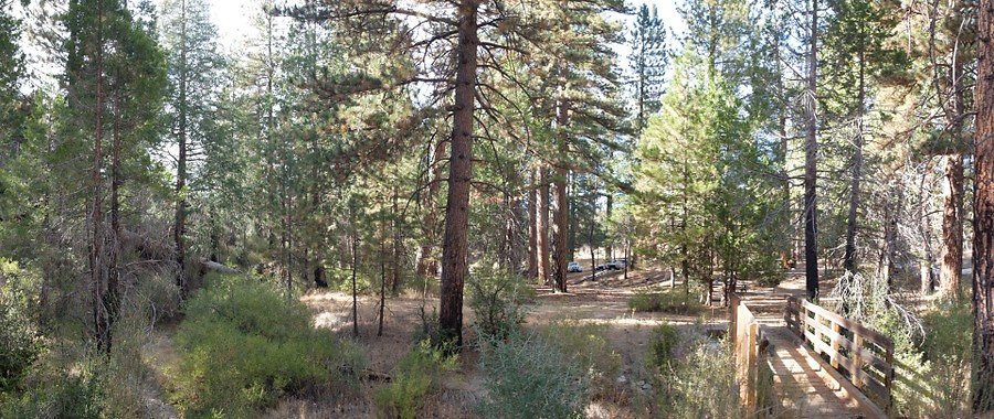 Charlton.Flats.USFS.142