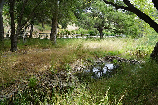 Canyon.Ranch.Foot.Bridges.24