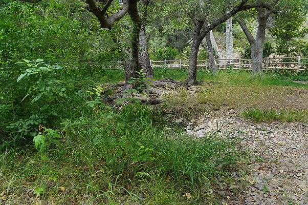 Canyon.Ranch.Foot.Bridges.19