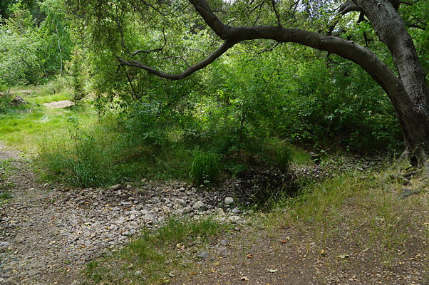 Canyon.Ranch.Foot.Bridges.36