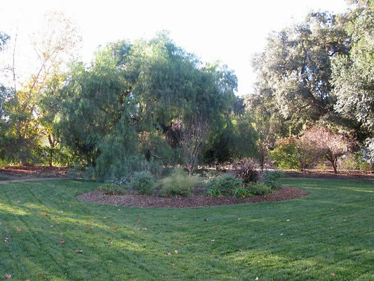 Yard