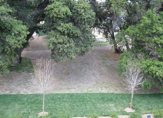 Yard2