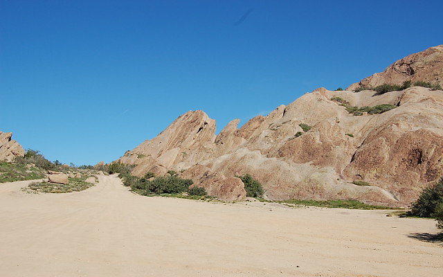 DSC 0037