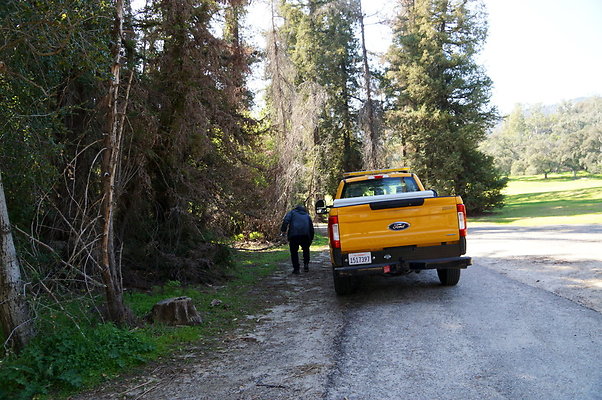 Harding.Redwoods.GP.06