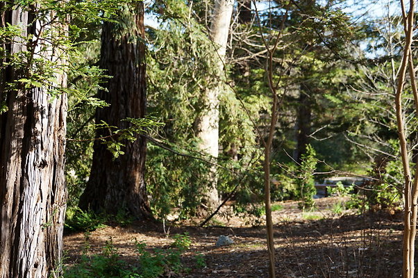 Descanso.Lake.Trail.14 Descanso.Lake.Trail.14