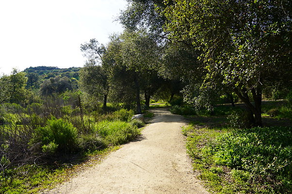 Descanso.Lake.Trail.07 Descanso.Lake.Trail.07