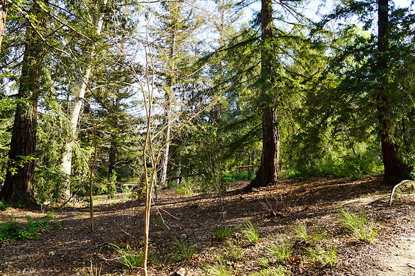 Descanso.Lake.Trail.13 Descanso.Lake.Trail.13