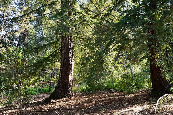 Descanso.Lake.Trail.15 Descanso.Lake.Trail.15