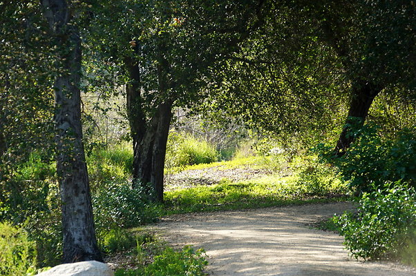 Descanso.Lake.Trail.08 Descanso.Lake.Trail.08