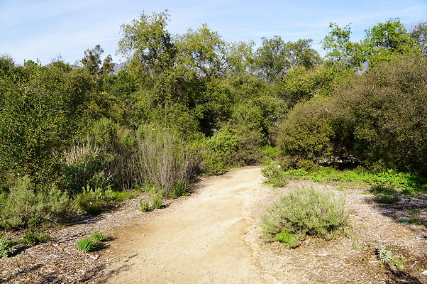 Descanso.Lake.Trail.02 Descanso.Lake.Trail.02