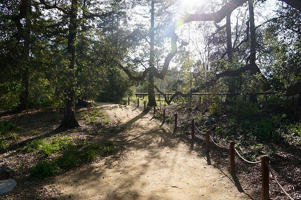 Descanso.Lake.Trail.12 Descanso.Lake.Trail.12