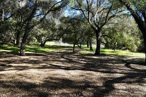 Tapia.Park.2.2019.56