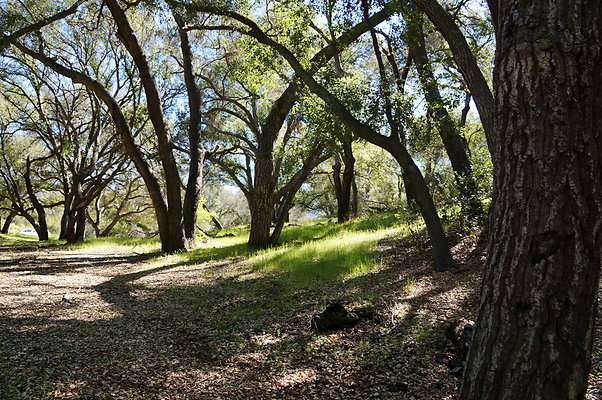 Tapia.Park.2.2019.75 Tapia.Park.2.2019.75