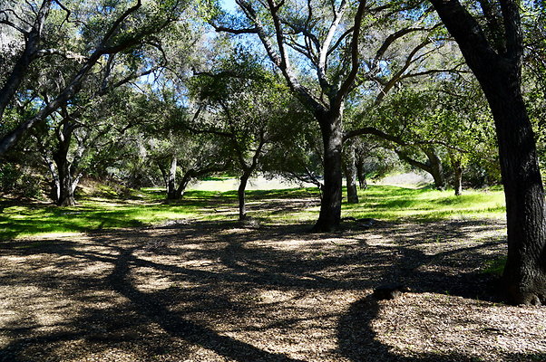 Tapia.Park.2.2019.65 Tapia.Park.2.2019.65