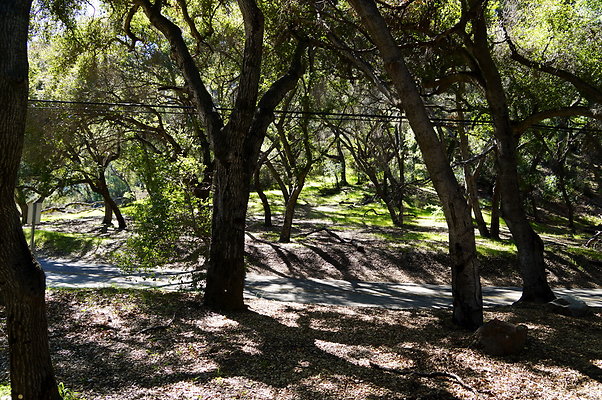 Tapia.Park.2.2019.66 Tapia.Park.2.2019.66