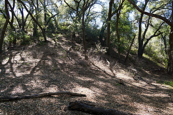 Tapia.Park.2.2019.82 Tapia.Park.2.2019.82