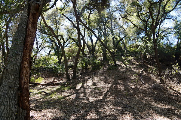 Tapia.Park.2.2019.81 Tapia.Park.2.2019.81