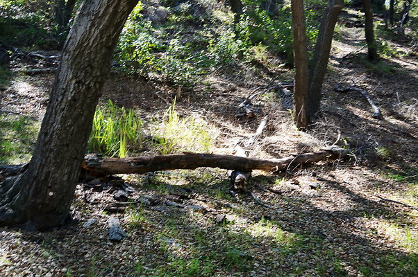 Tapia.Park.2.2019.77 Tapia.Park.2.2019.77