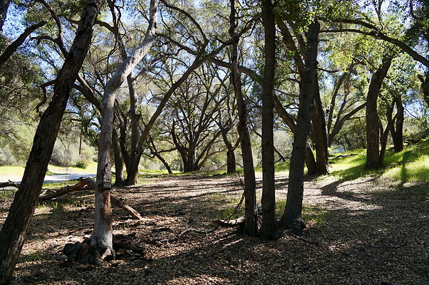 Tapia.Park.2.2019.72 Tapia.Park.2.2019.72