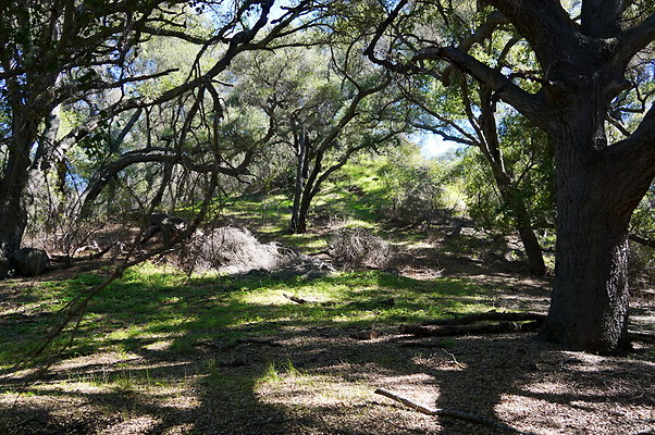 Tapia.Park.2.2019.89 Tapia.Park.2.2019.89