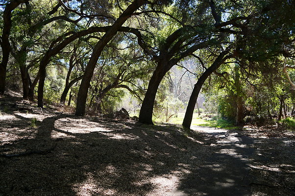 Tapia.Park.2.2019.94 Tapia.Park.2.2019.94