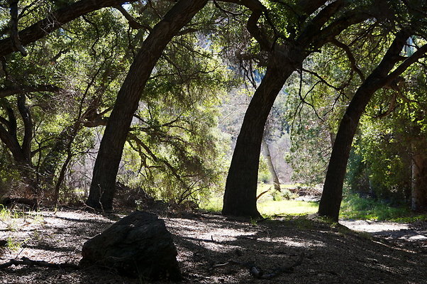 Tapia.Park.2.2019.91 Tapia.Park.2.2019.91