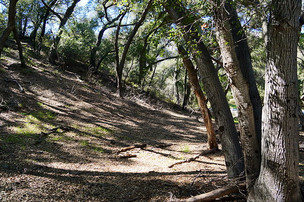 Tapia.Park.2.2019.74 Tapia.Park.2.2019.74