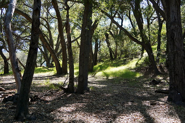 Tapia.Park.2.2019.70 Tapia.Park.2.2019.70