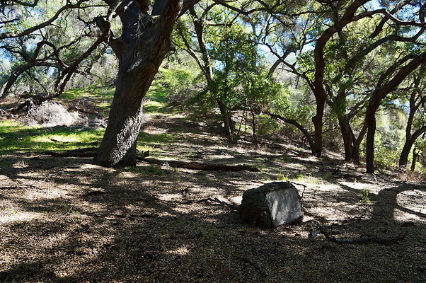 Tapia.Park.2.2019.93 Tapia.Park.2.2019.93