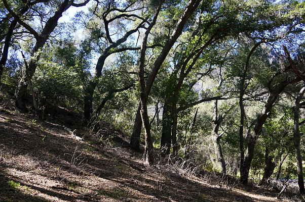 Tapia.Park.2.2019.78 Tapia.Park.2.2019.78