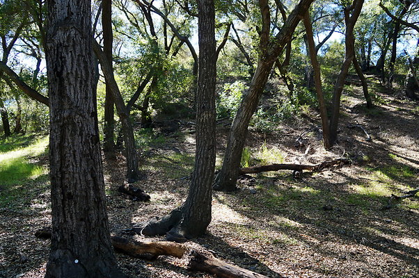 Tapia.Park.2.2019.73 Tapia.Park.2.2019.73