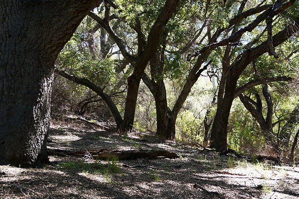 Tapia.Park.2.2019.90 Tapia.Park.2.2019.90