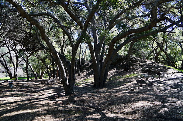 Tapia.Park.2.2019.98 Tapia.Park.2.2019.98