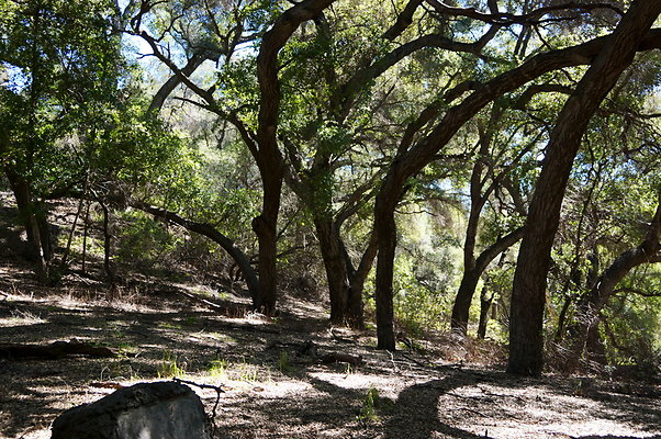 Tapia.Park.2.2019.96 Tapia.Park.2.2019.96