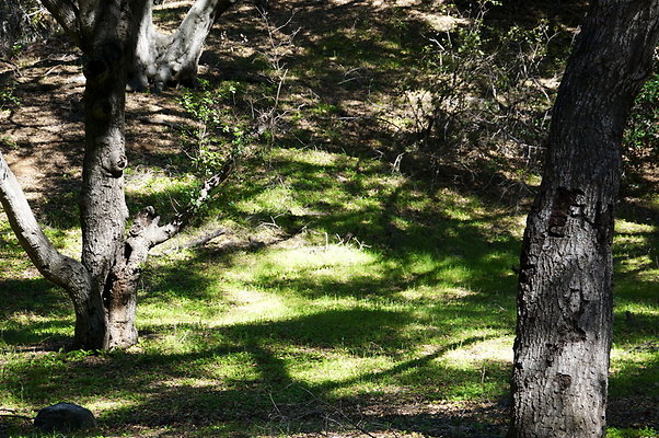 Tapia.Park.2.2019.63 Tapia.Park.2.2019.63