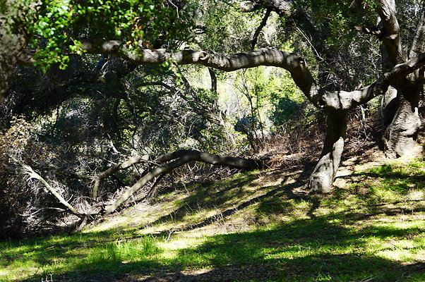 Tapia.Park.2.2019.62 Tapia.Park.2.2019.62