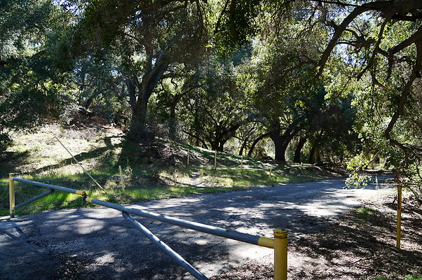 Tapia.Park.2.2019.86 Tapia.Park.2.2019.86