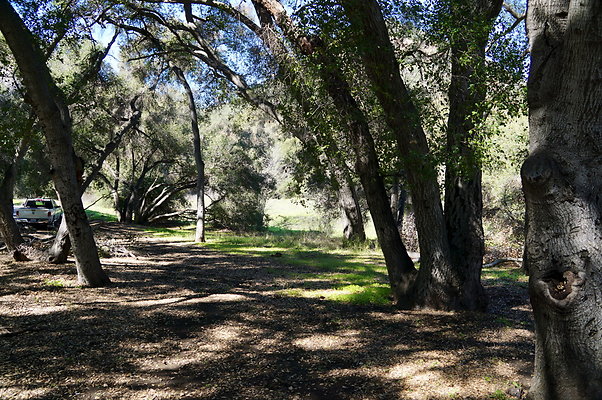 Tapia.Park.2.2019.68 Tapia.Park.2.2019.68