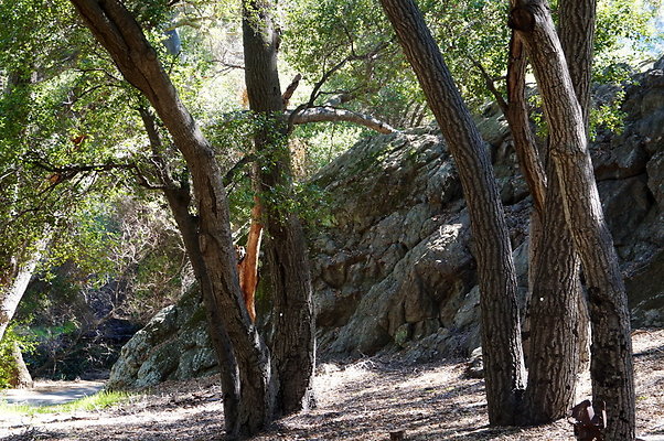 Tapia.Park.2.2019.99 Tapia.Park.2.2019.99