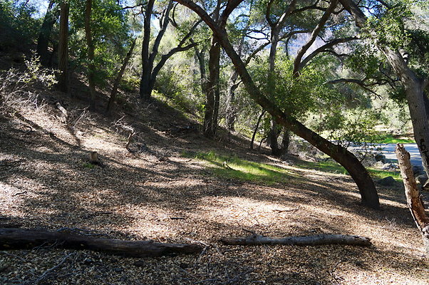 Tapia.Park.2.2019.83 Tapia.Park.2.2019.83