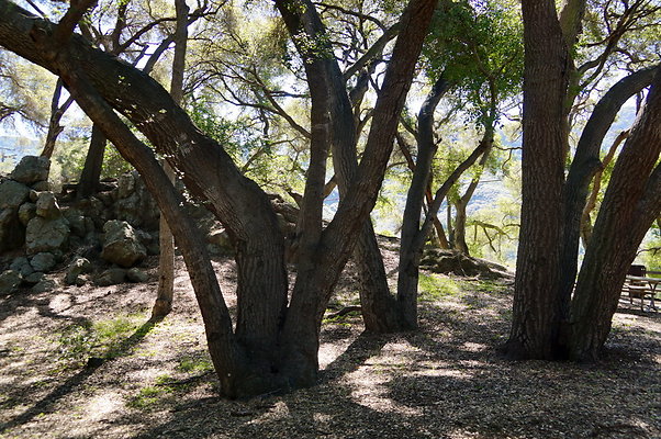 Tapia.Park.2.2019.101 Tapia.Park.2.2019.101