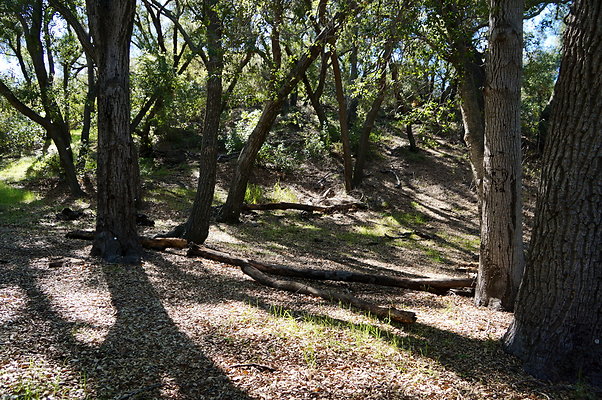 Tapia.Park.2.2019.71 Tapia.Park.2.2019.71