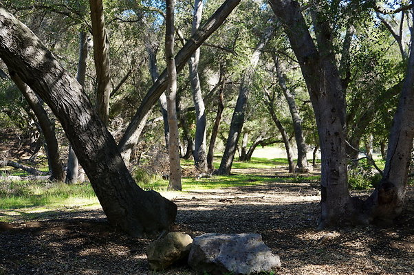 Tapia.Park.2.2019.85 Tapia.Park.2.2019.85