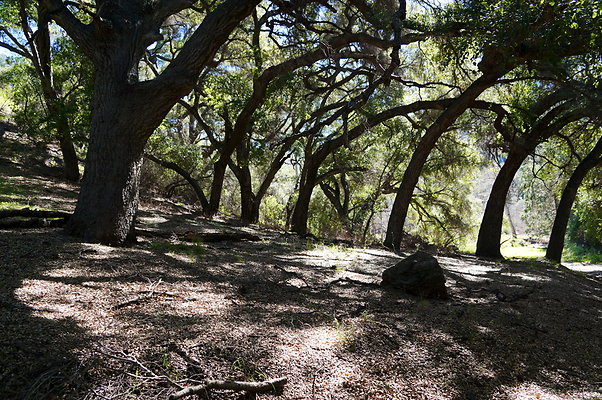 Tapia.Park.2.2019.88 Tapia.Park.2.2019.88