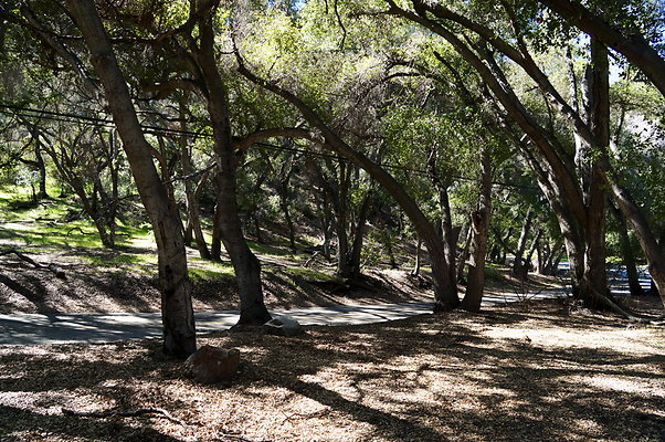 Tapia.Park.2.2019.67 Tapia.Park.2.2019.67