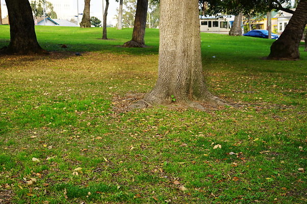 Prospect.Park.ELA&gt;07