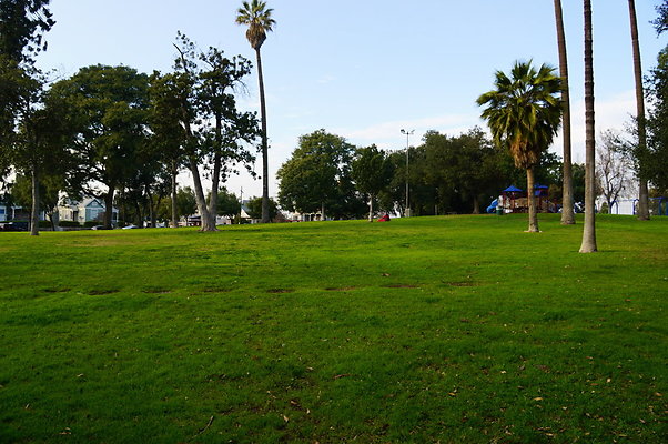 Prospect.Park.ELA&gt;17