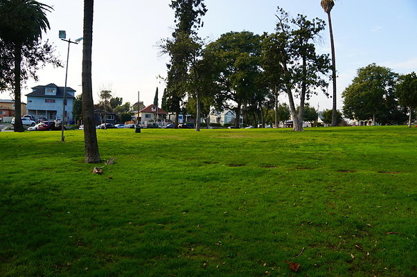Prospect.Park.ELA&gt;16